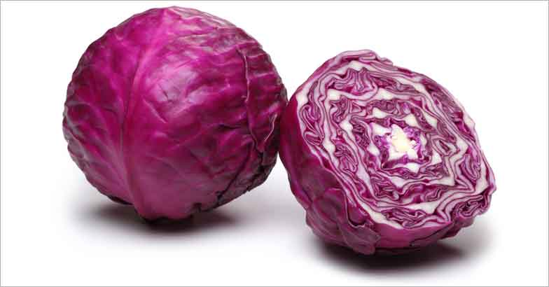 purple-cabbage
