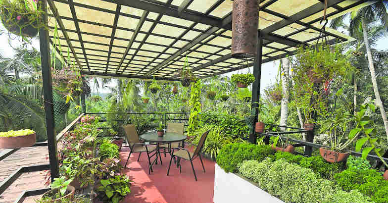 plot-based-home-garden