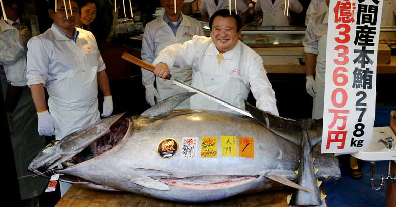 tuna-fish-1