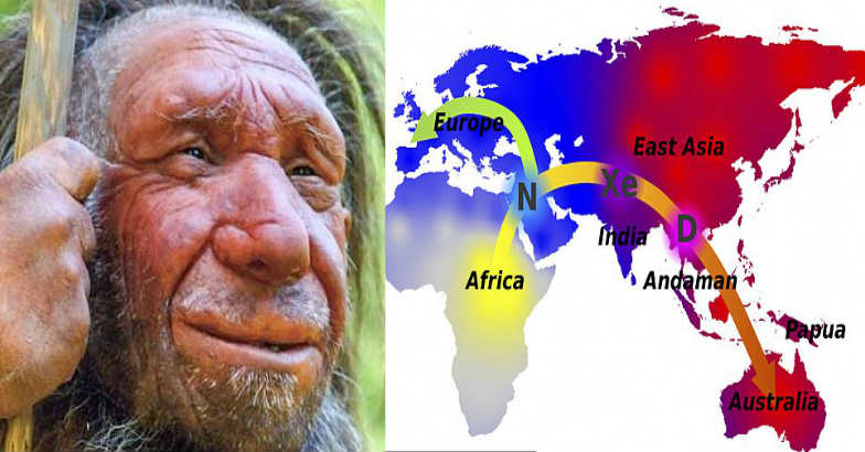 human-ancestor