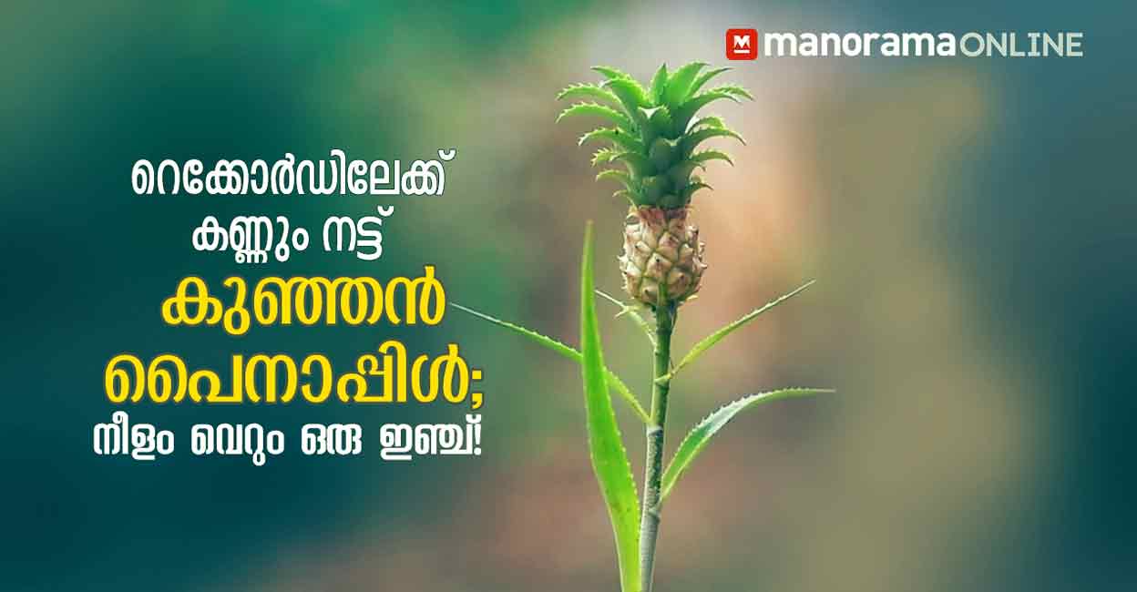 റെക്കോർഡിലേക്ക് കണ്ണും നട്ട് ...